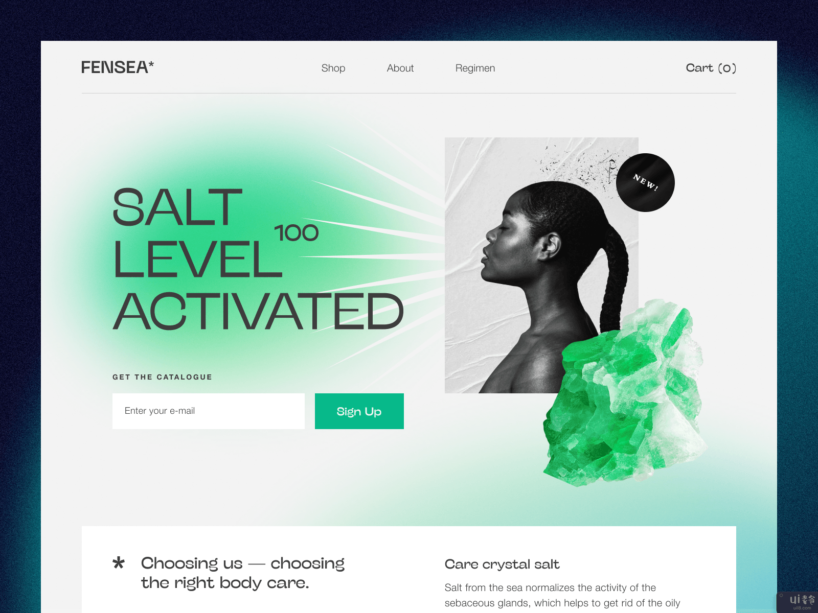 Fensea网站(Fensea Website)插图