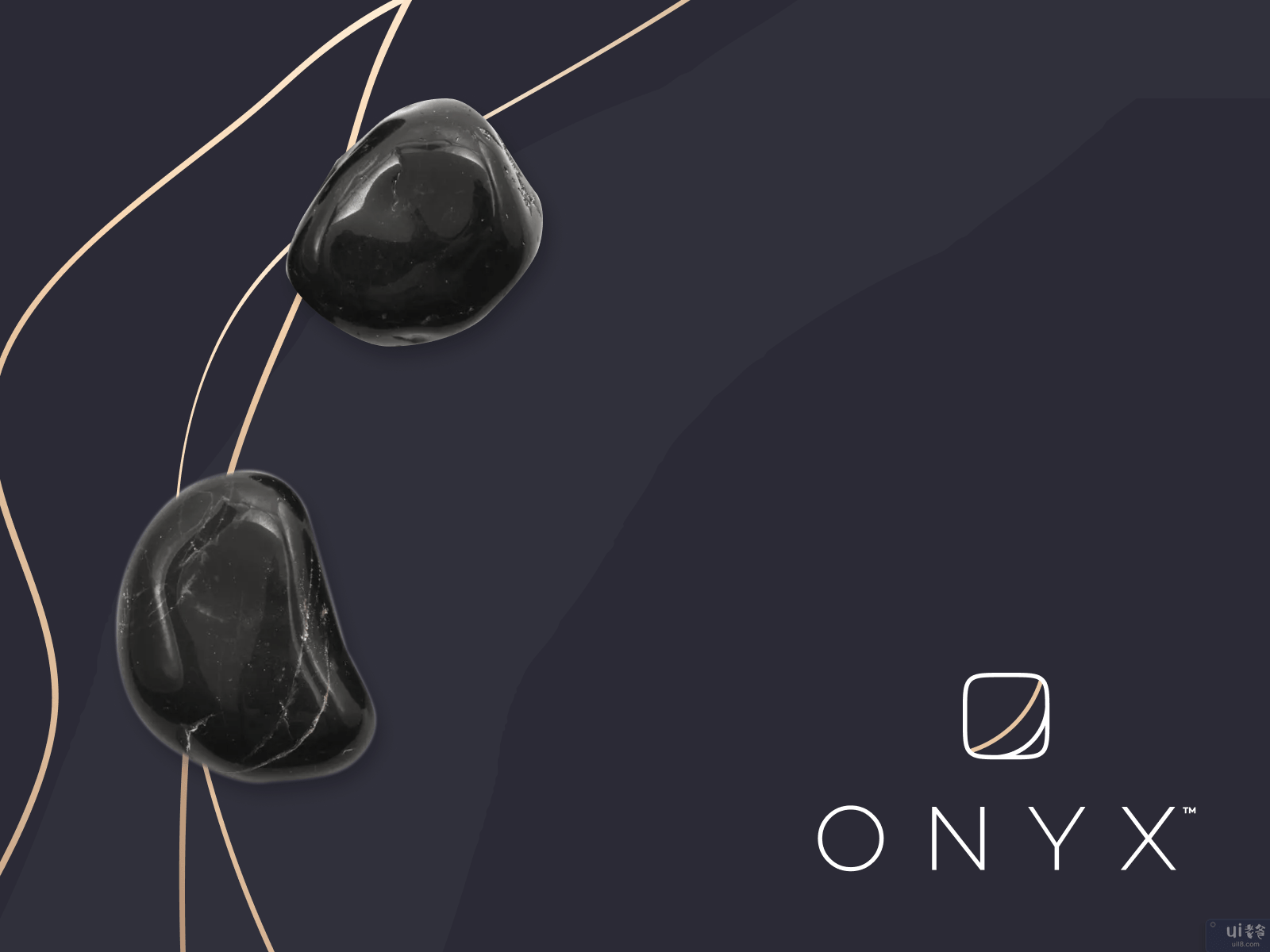 ONYX - 豪华概念(ONYX - Luxury Concept)插图1