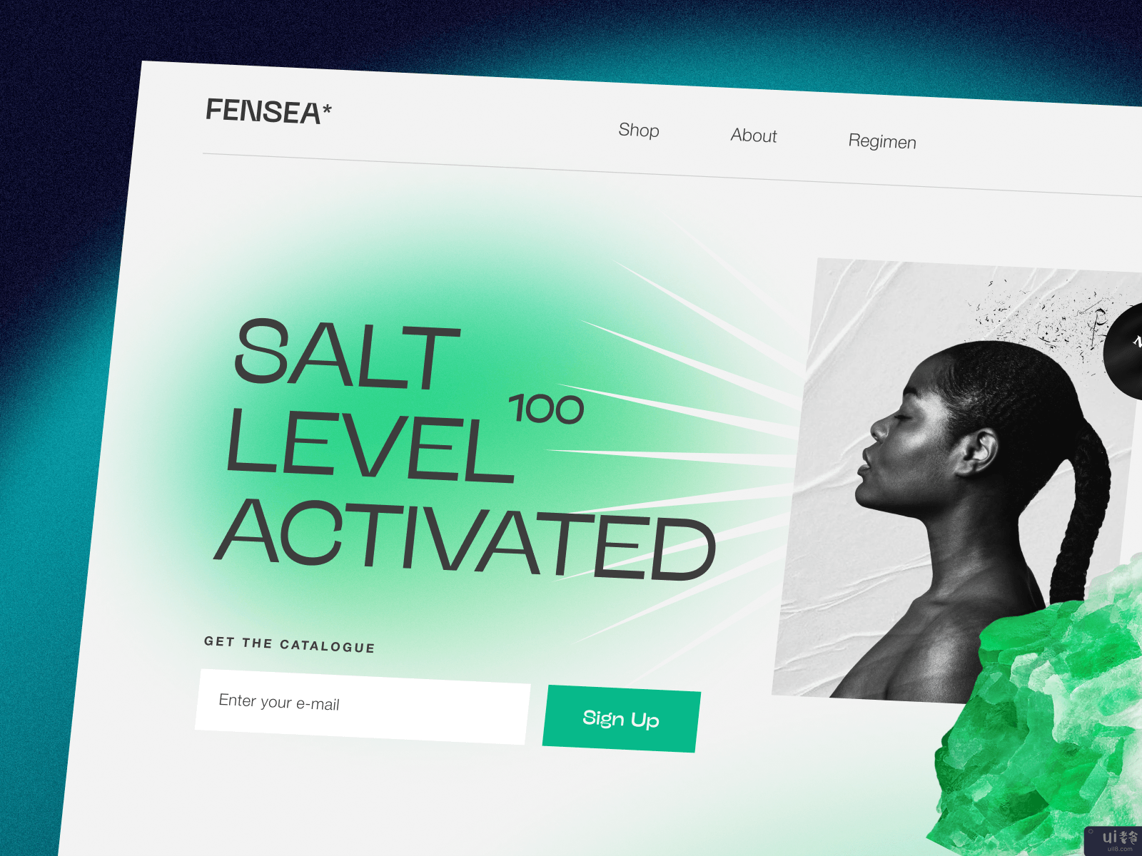 Fensea网站(Fensea Website)插图1
