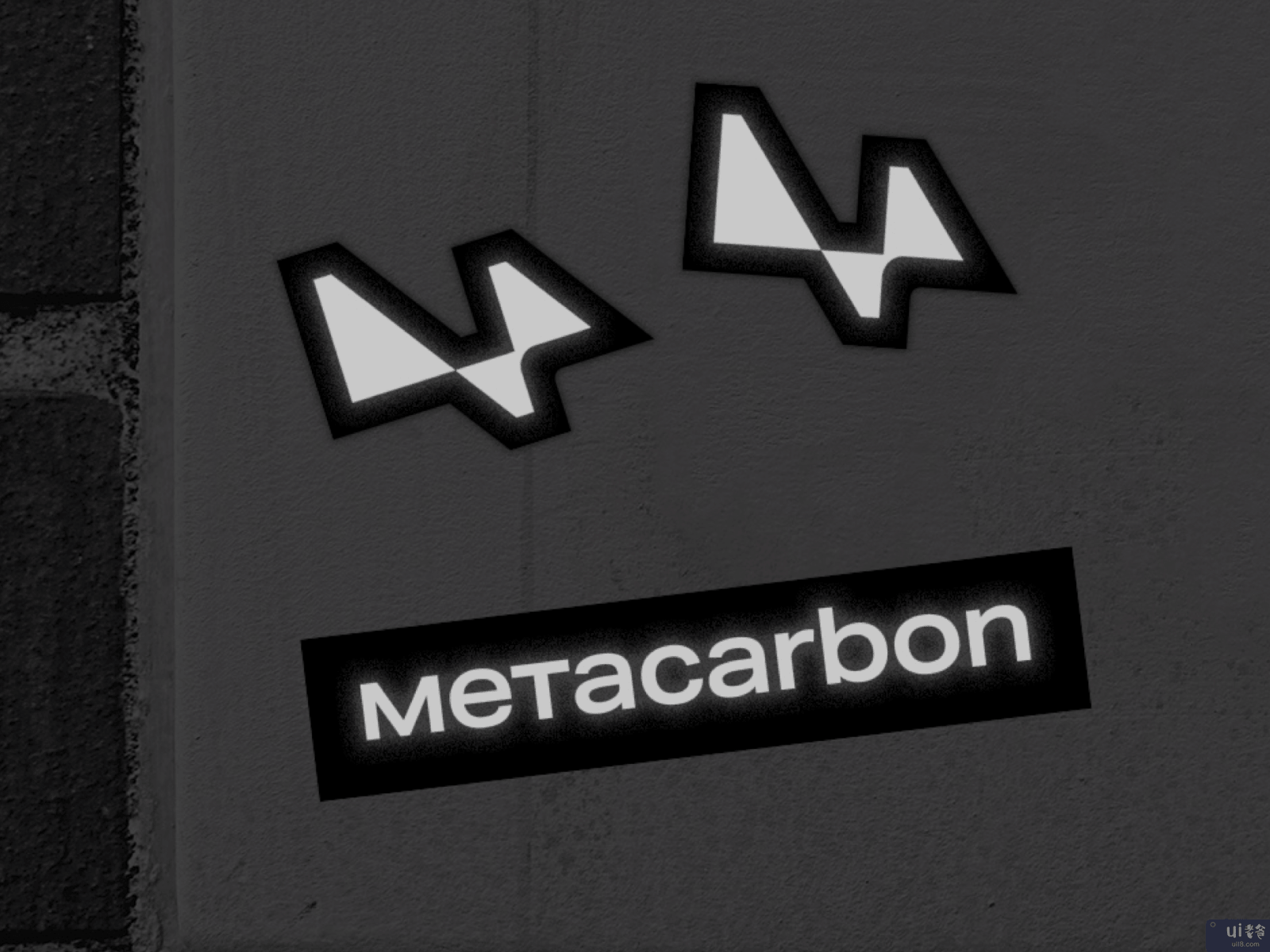 梅塔卡邦品牌建设(Metacarbon Branding)插图