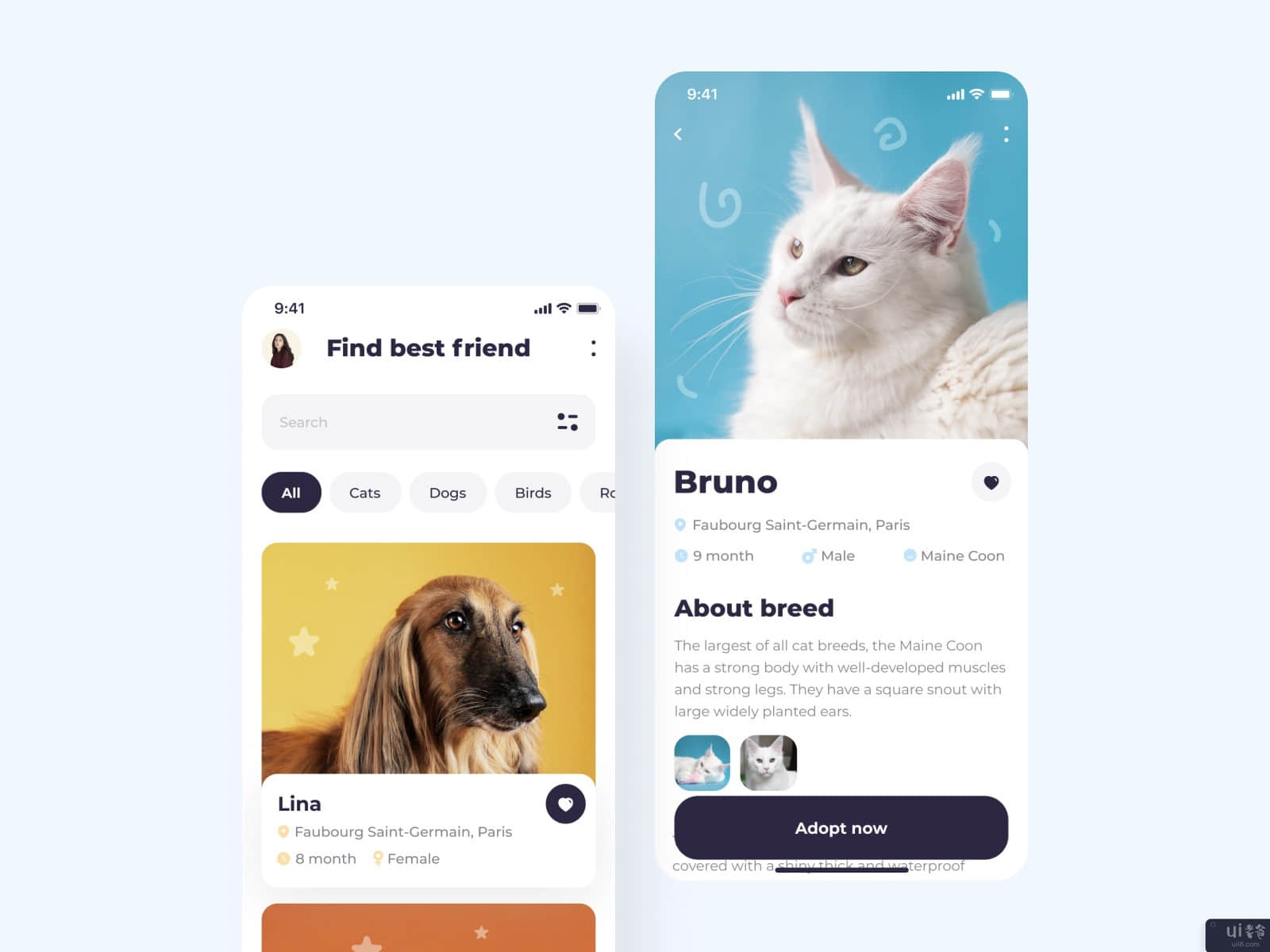 宠物的移动应用设计(The Pets mobile app design)插图