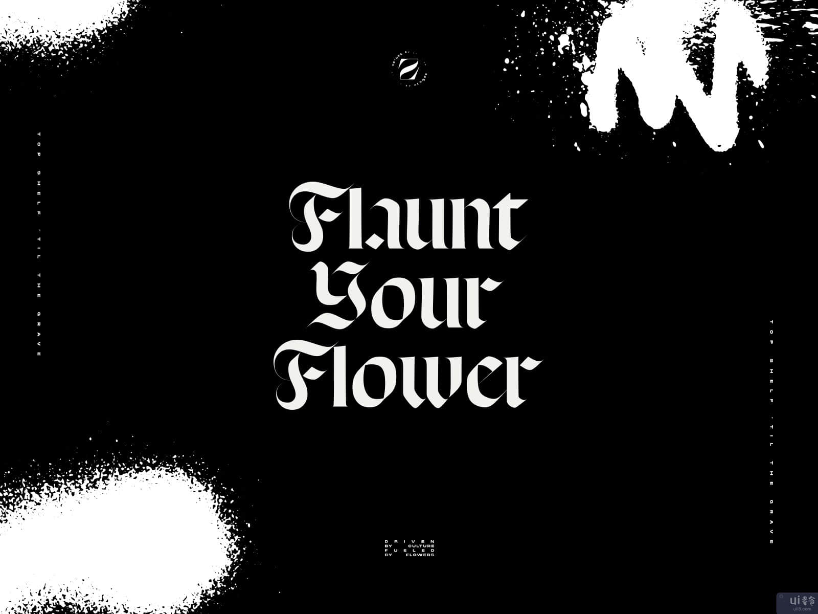 ZaZa。炫耀你的花(ZaZa: Flaunt Your Flower)插图