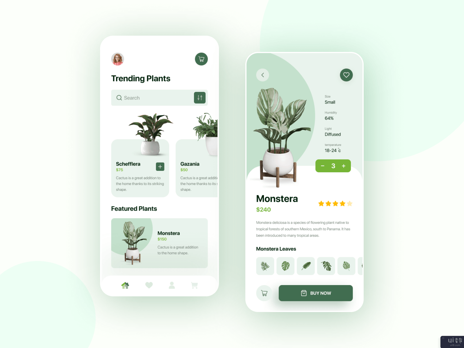 植物商店应用程序(Plant Store App)插图1