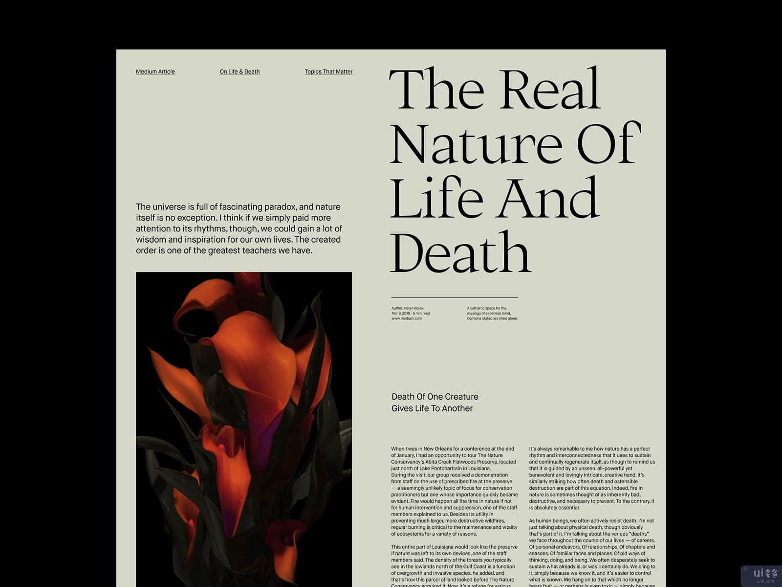 真正的自然 - 文章版面设计(The Real Nature – Article Layout)插图