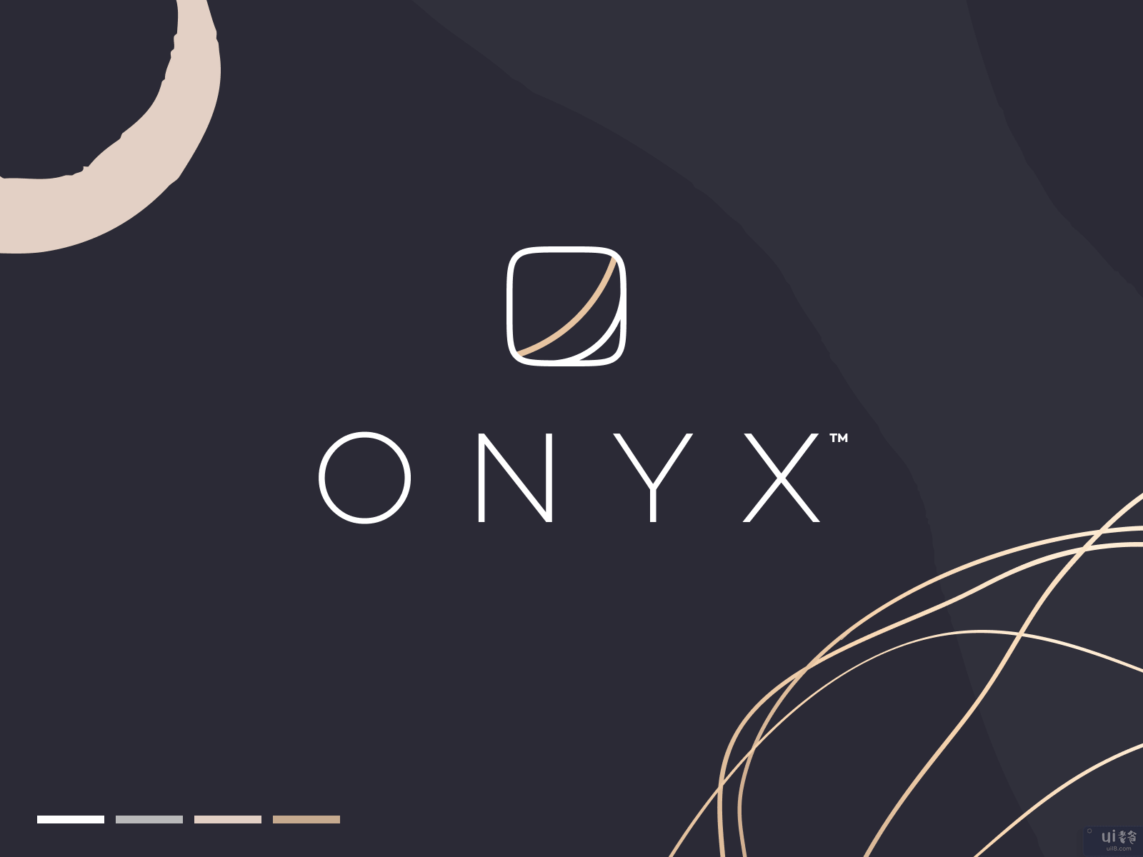 ONYX - 豪华概念(ONYX - Luxury Concept)插图