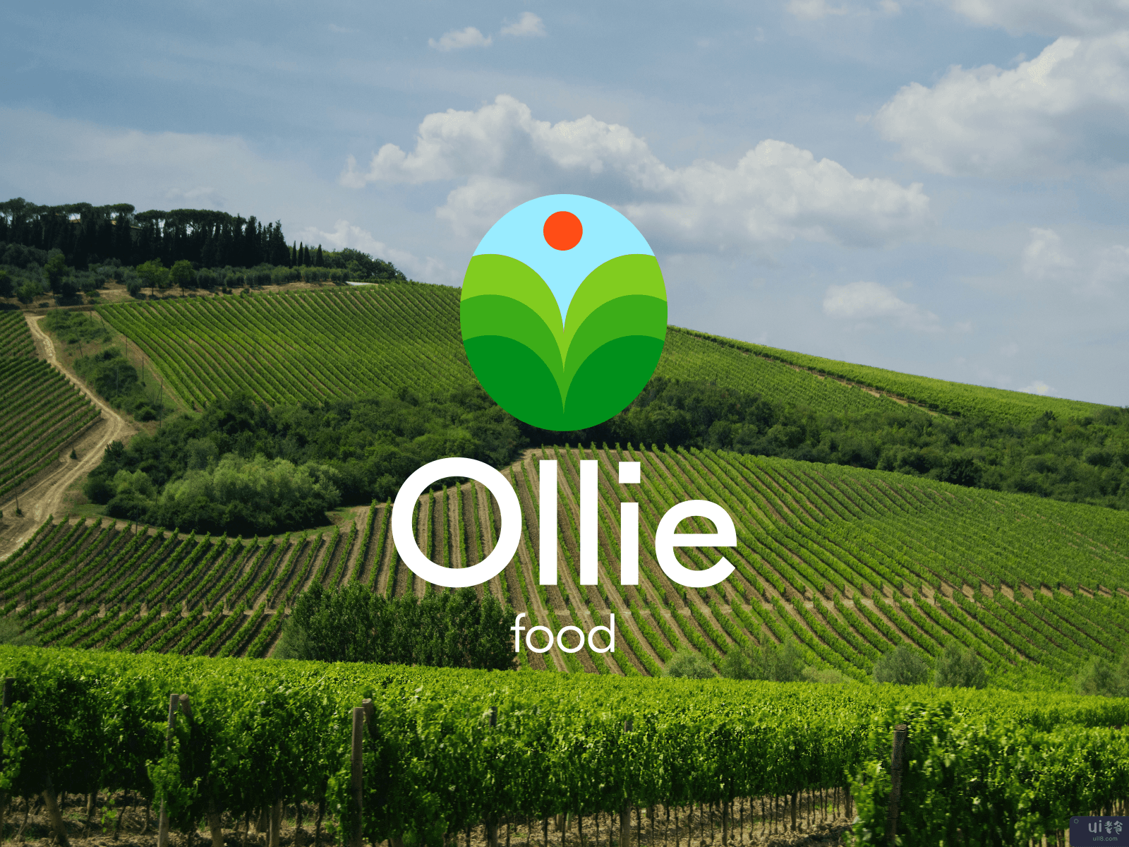 Ollie - 农场食品的标志设计(Ollie - Logo Design for Farm Food)插图1