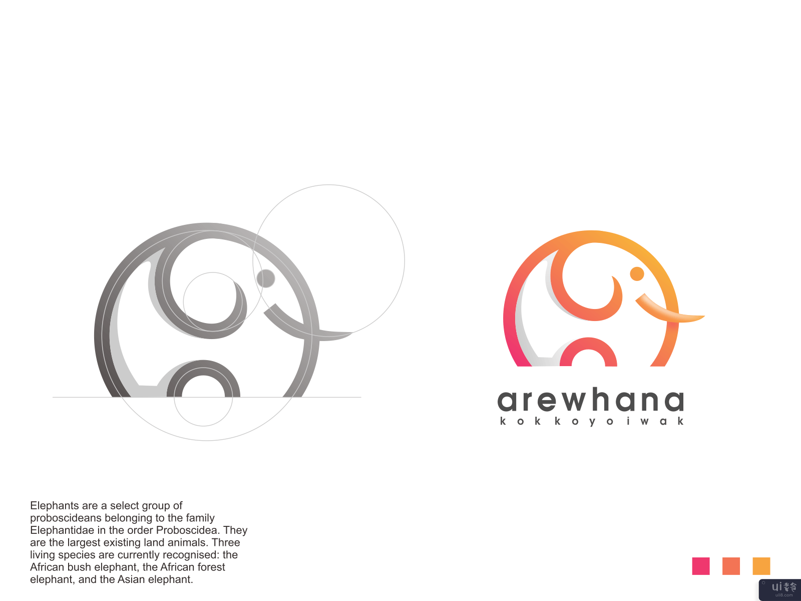 arewhana标志(arewhana logo)插图