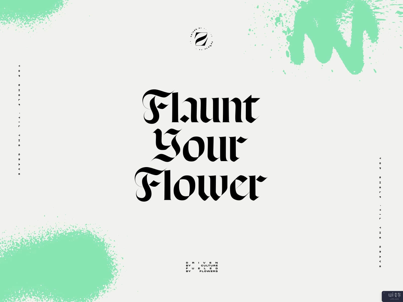 ZaZa。炫耀你的花(ZaZa: Flaunt Your Flower)插图1
