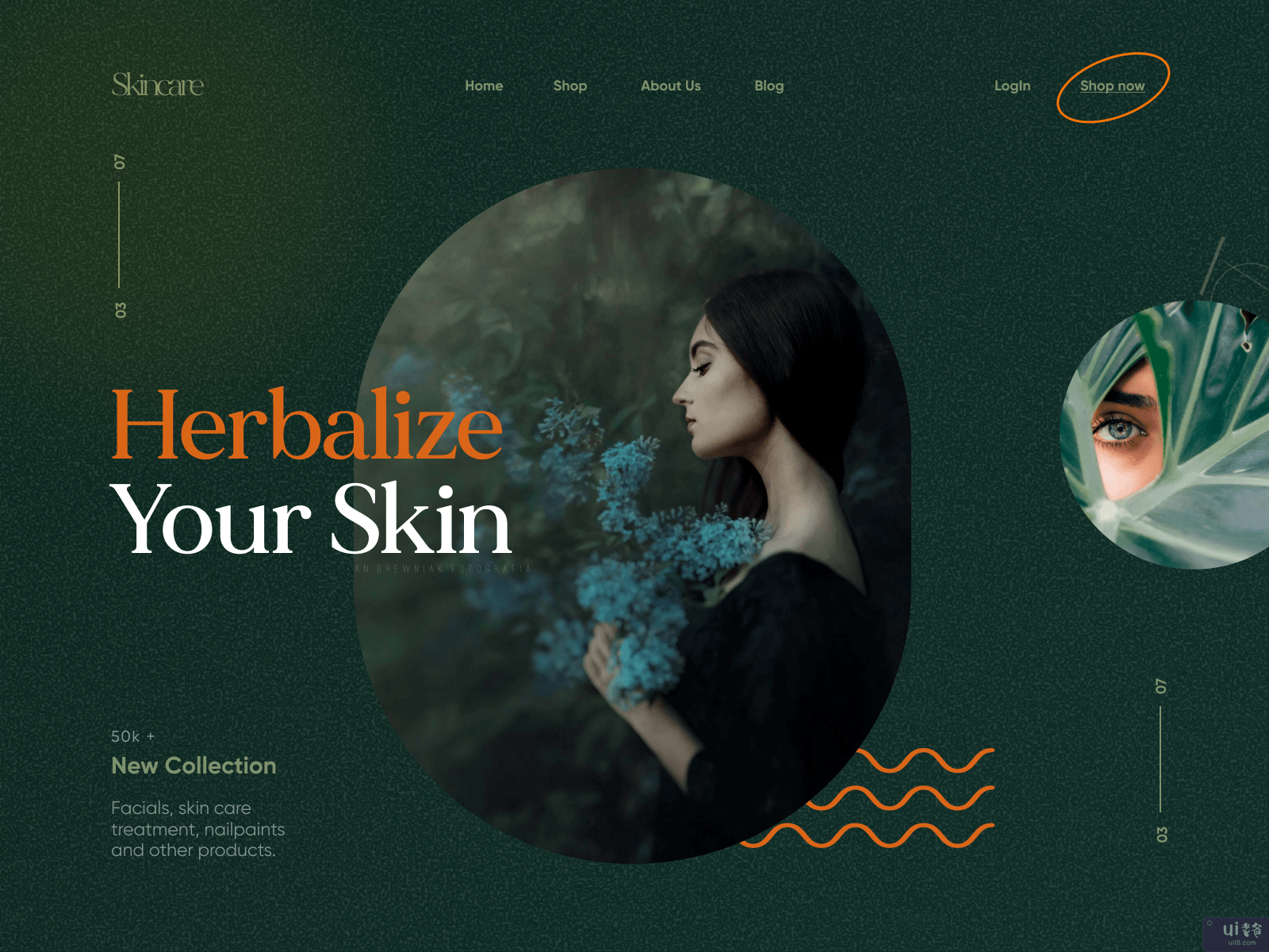 时尚/皮肤护理网站设计(Fashion / Skin Care Website Design)插图