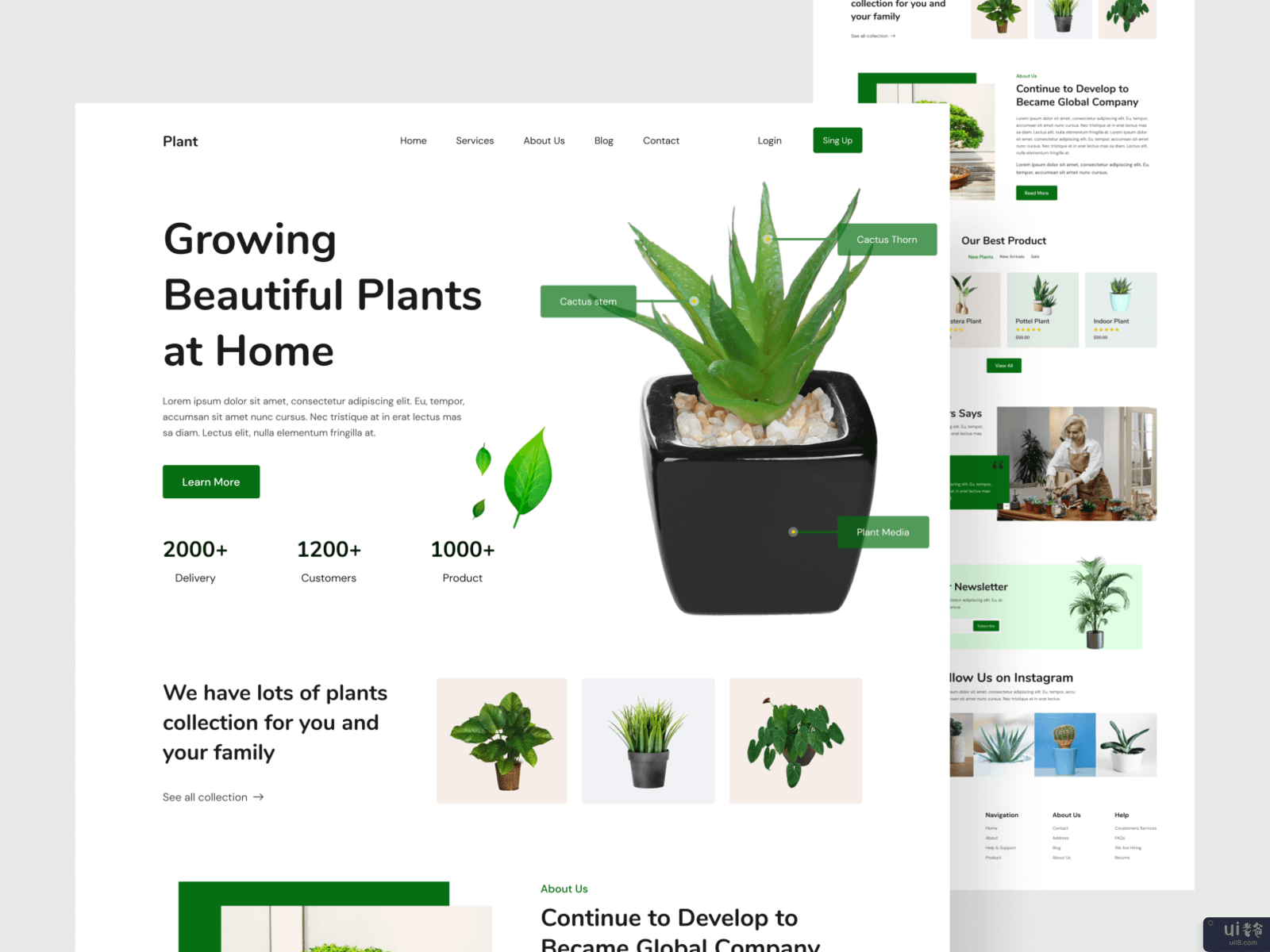 工厂登陆页面设计(Plant Landing Page Design)插图