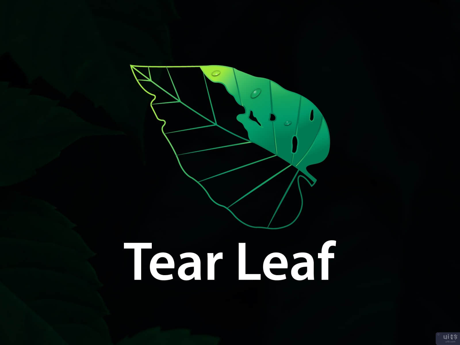 TEAR LEAF的平面和现代标志(Flat and Modern Logo For TEAR LEAF)插图