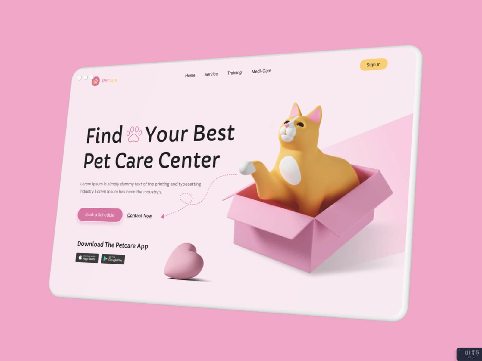 宠物护理网站设计(Pet Care Website Design)插图2