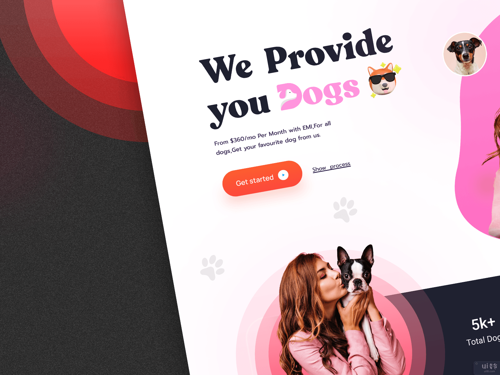 宠物领养网站/狗狗护理网站(Pet Adoption Website/ Dog Care Website)插图2