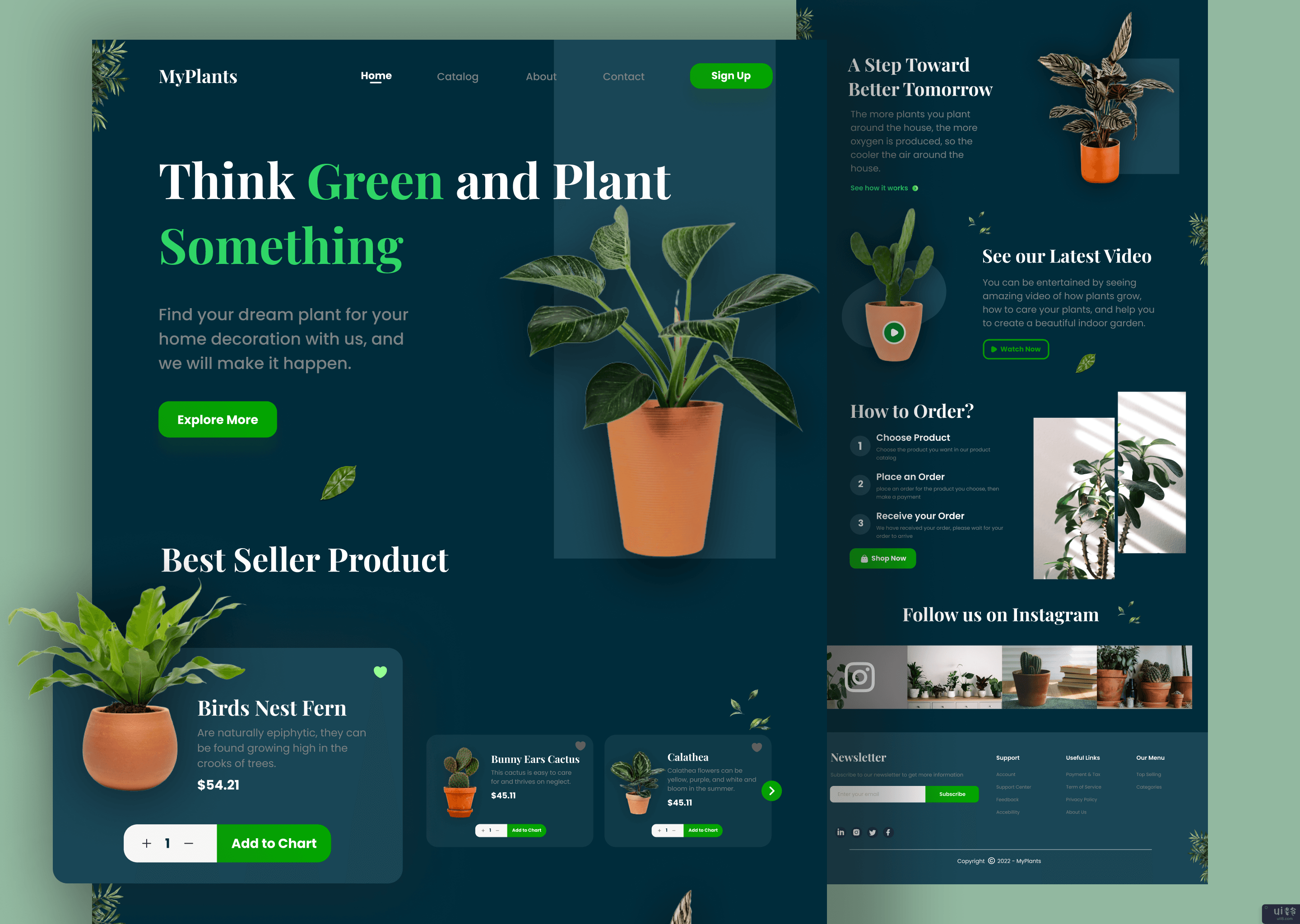 我的植物 - 植物登陆页(MyPlants - Plant Landing Page)插图
