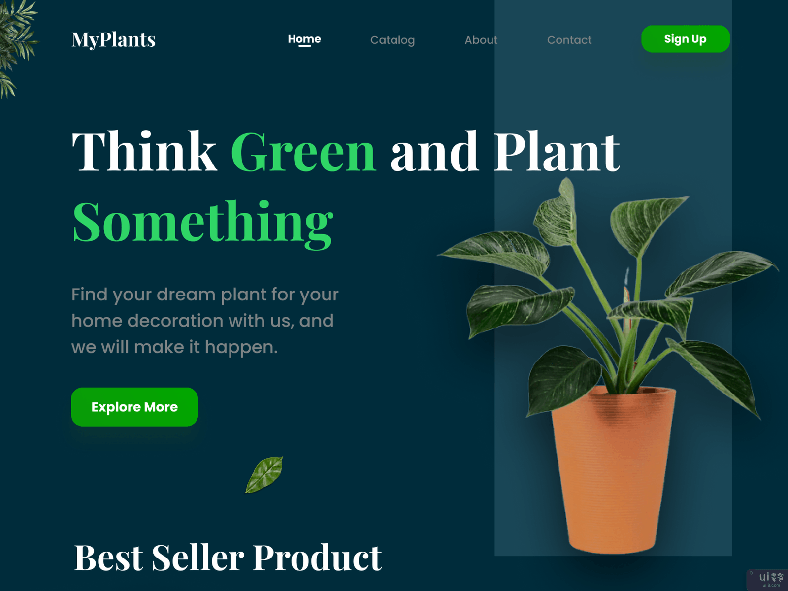 我的植物 - 植物登陆页(MyPlants - Plant Landing Page)插图1
