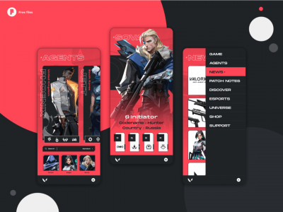 Valorant移动应用程序(Valorant Mobile App)