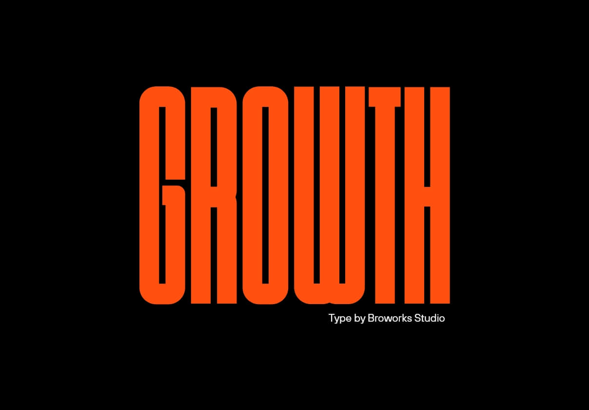 增长 (Growth)
