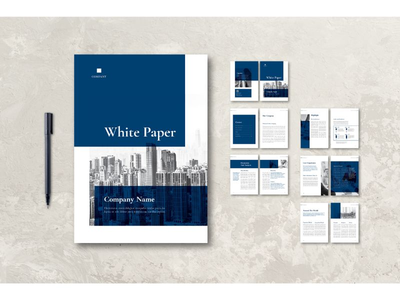 白皮书(White Paper)