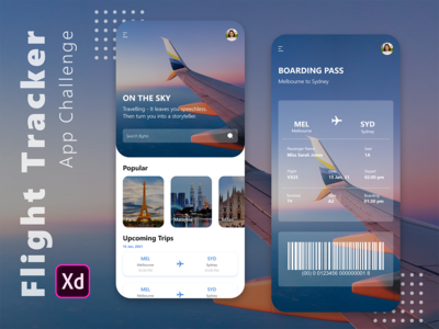 飞行追踪器应用挑战(Flight Tracker App Challenge)