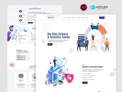 数据分析服务(Data Analytics Service)