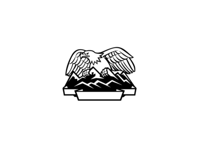 鹰栖息在黑色和白色的山脉(Eagle Perching on Mountain Range Black and white)
