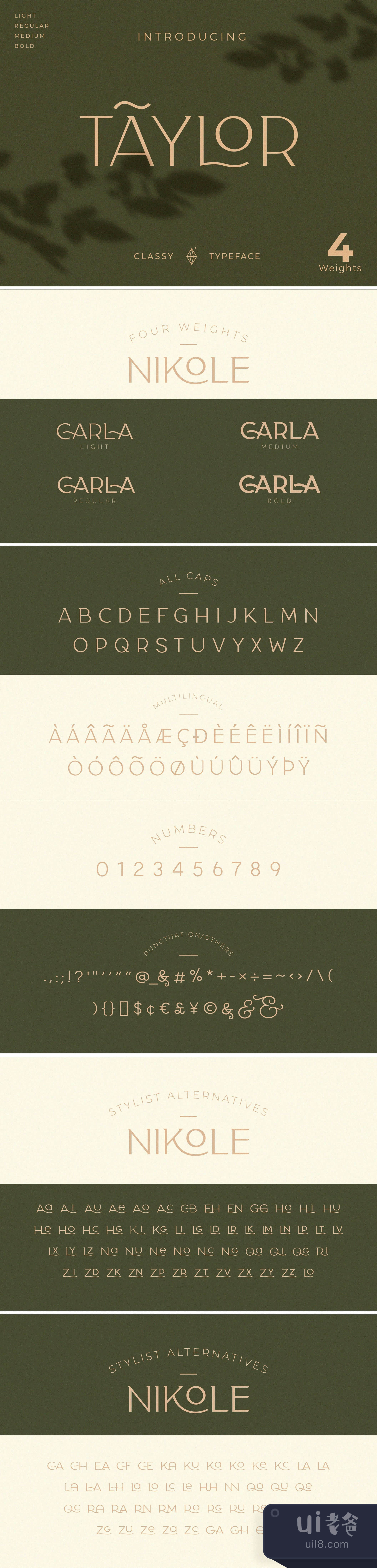 经典的泰勒字体 ( Classy Taylor Typeface)插图