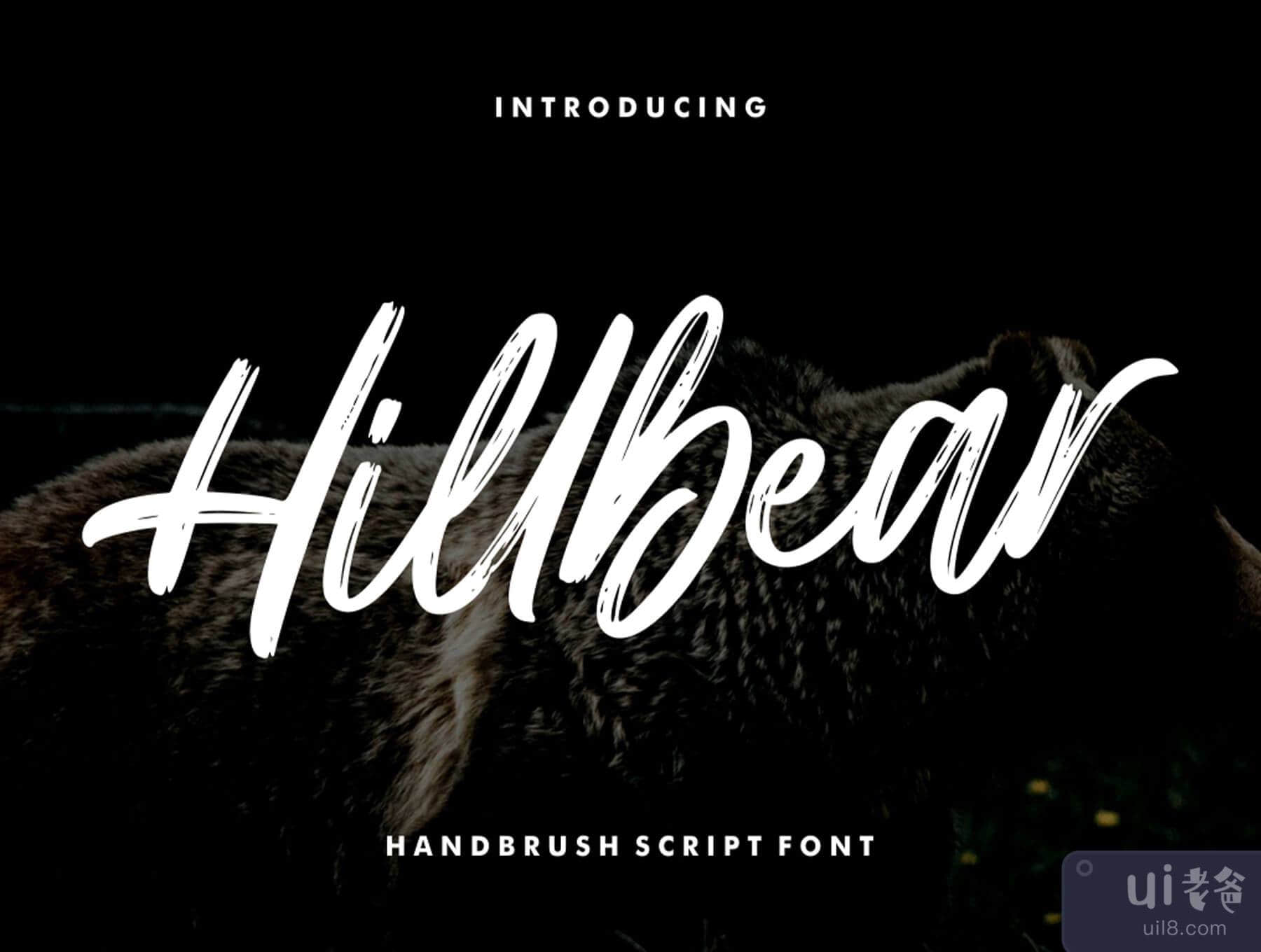 Hillbear - 手写字体 (Hillbear - Handbrush Script Font)插图