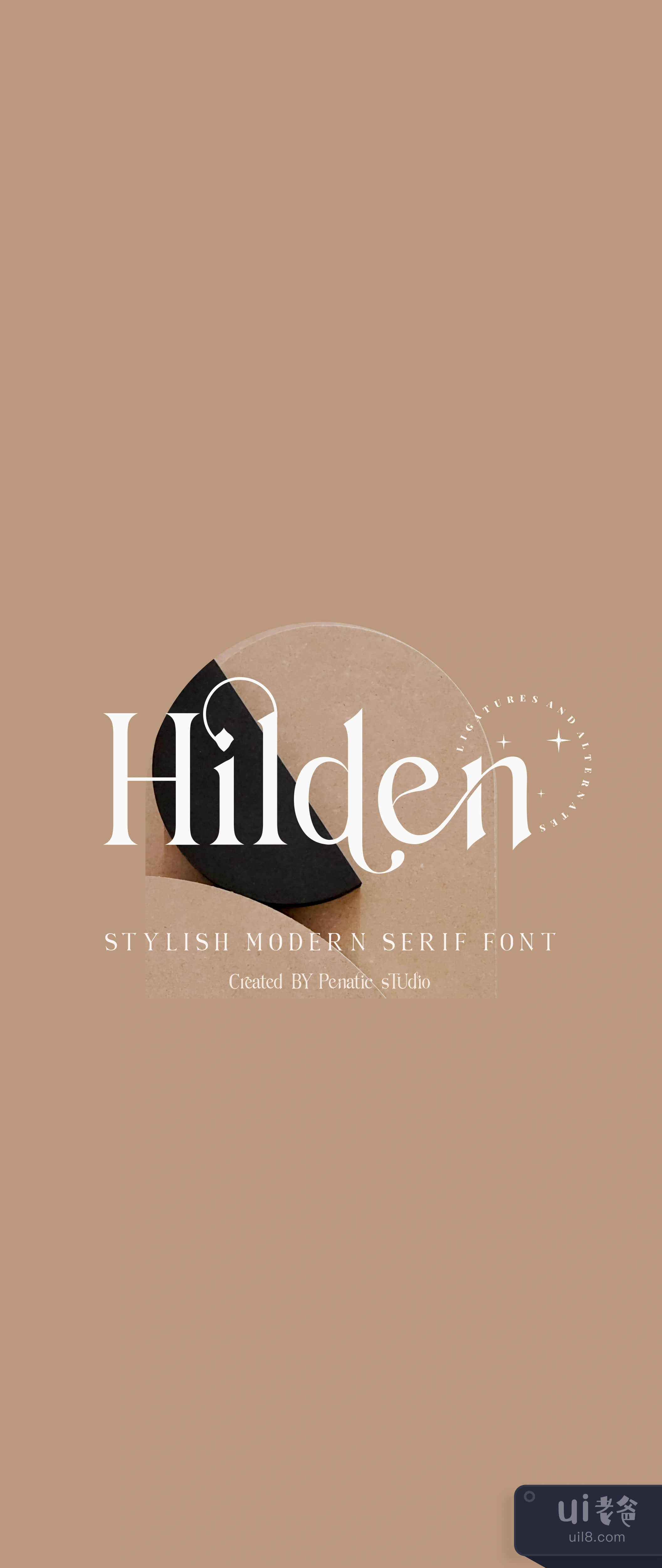 Hilden - 时尚的现代衬线字体 (Hilden - stylish modern serif插图