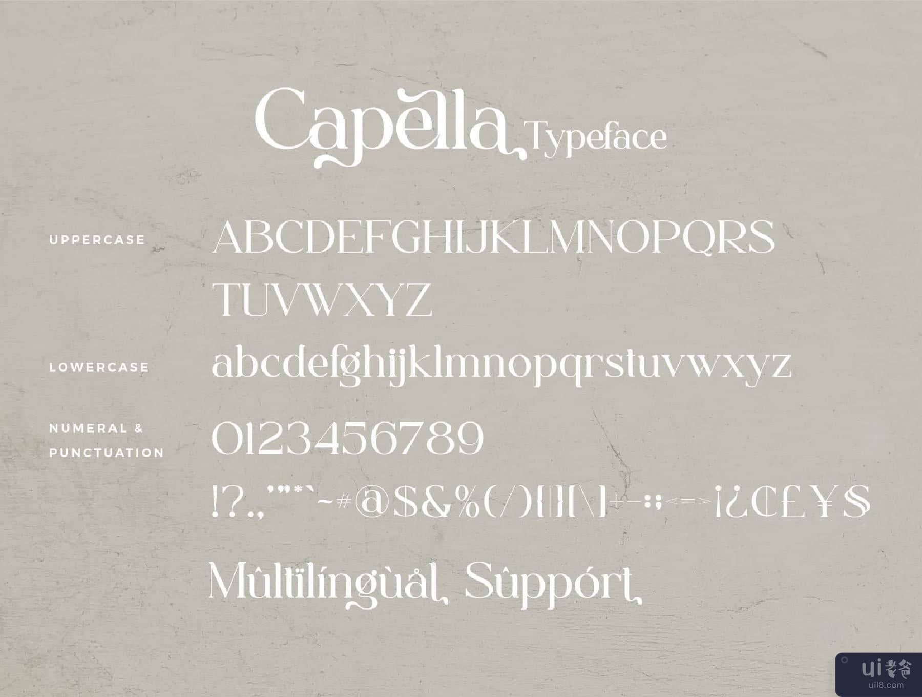 卡佩拉 (Capella)插图1