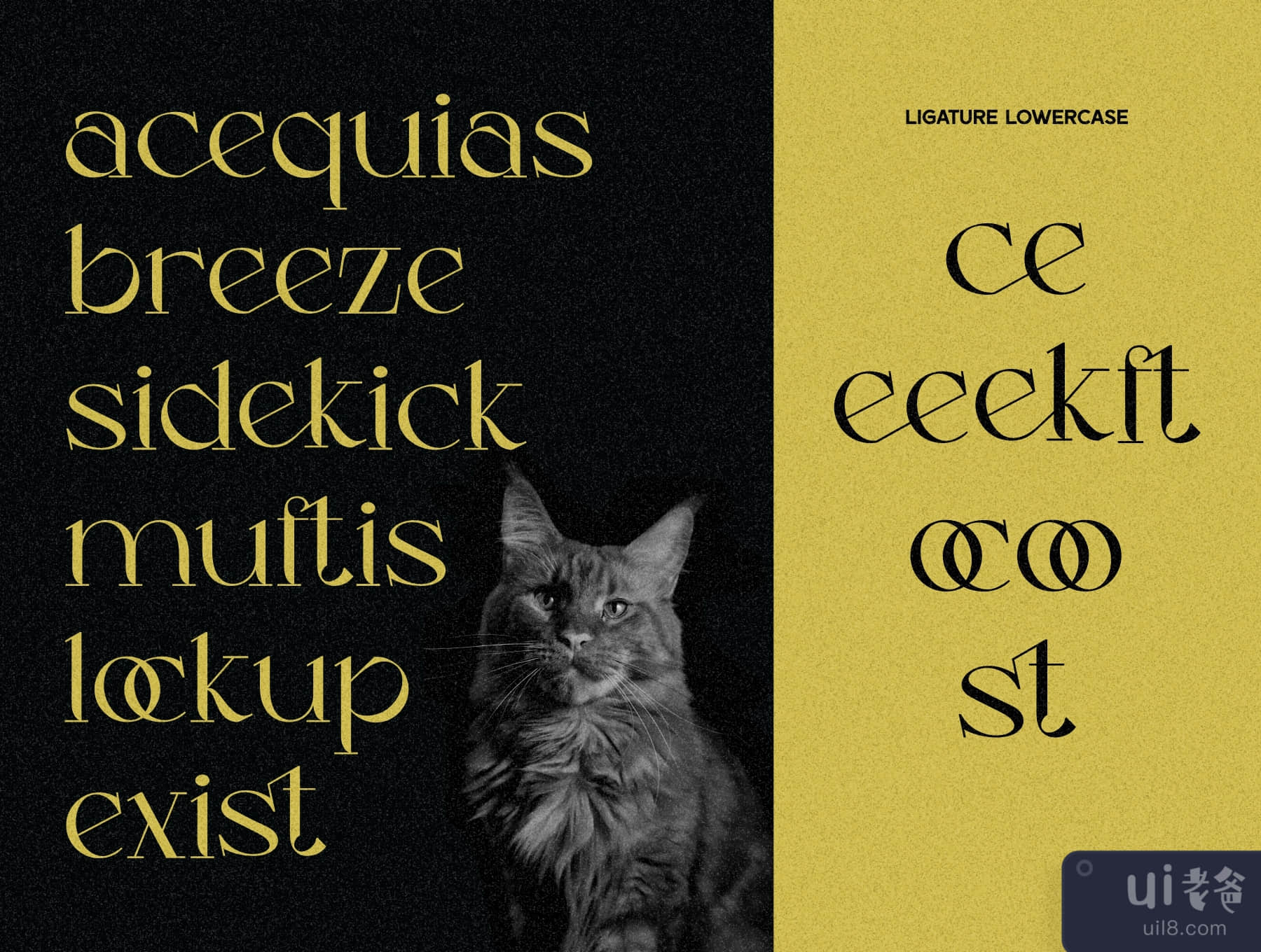 Luncat - 展示型字体 (Luncat - Display Typeface)插图7