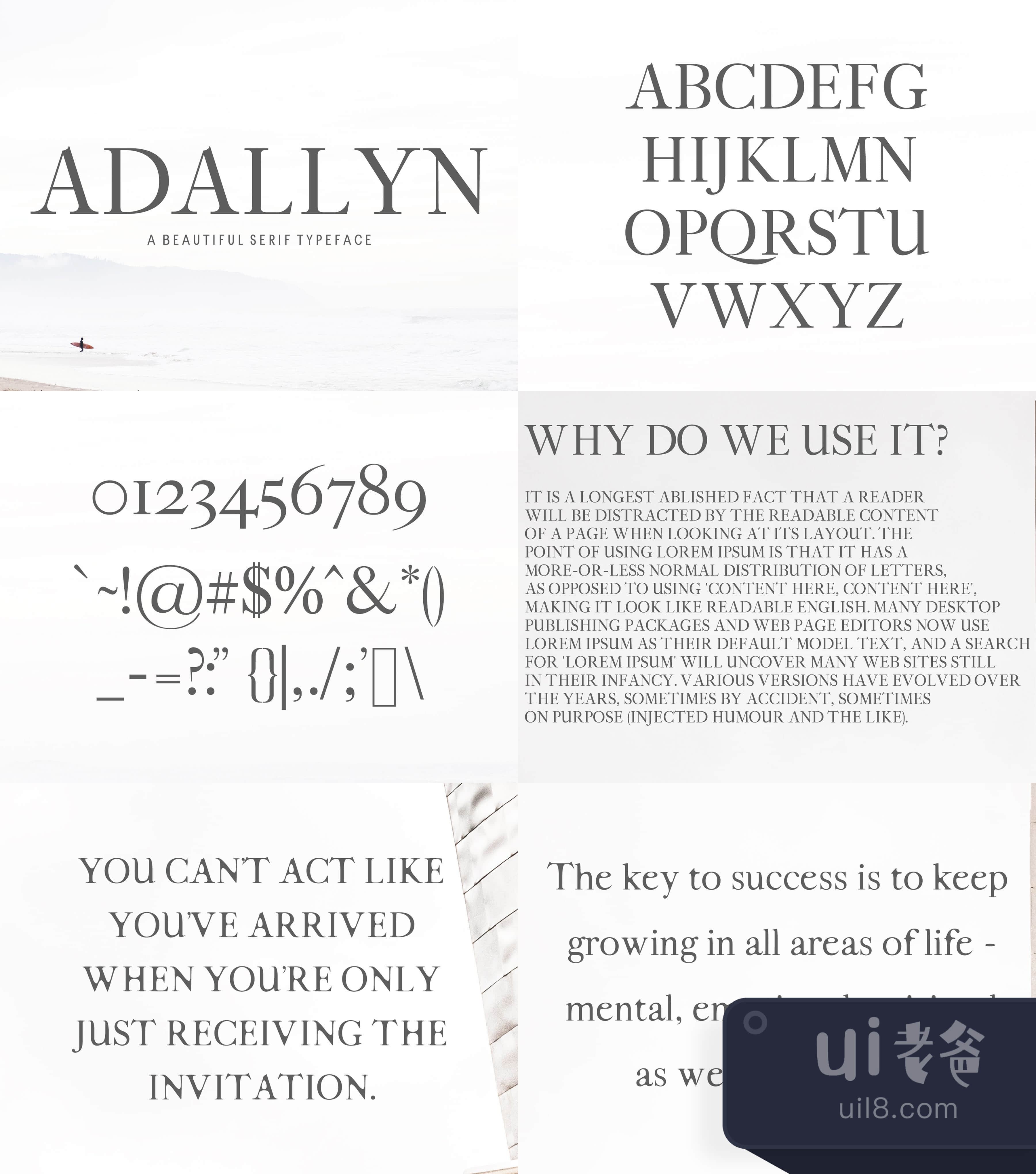 视觉效果：阿达利文字体家族 (Adallyn Serif Font Family)插图1