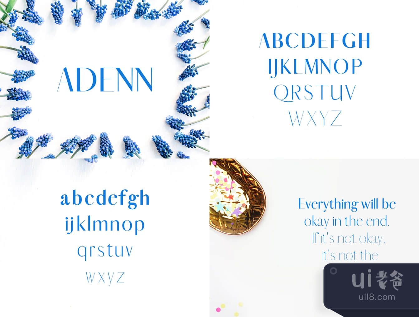 阿德尼无衬线字体 (Adenn Sans Serif Typeface)插图
