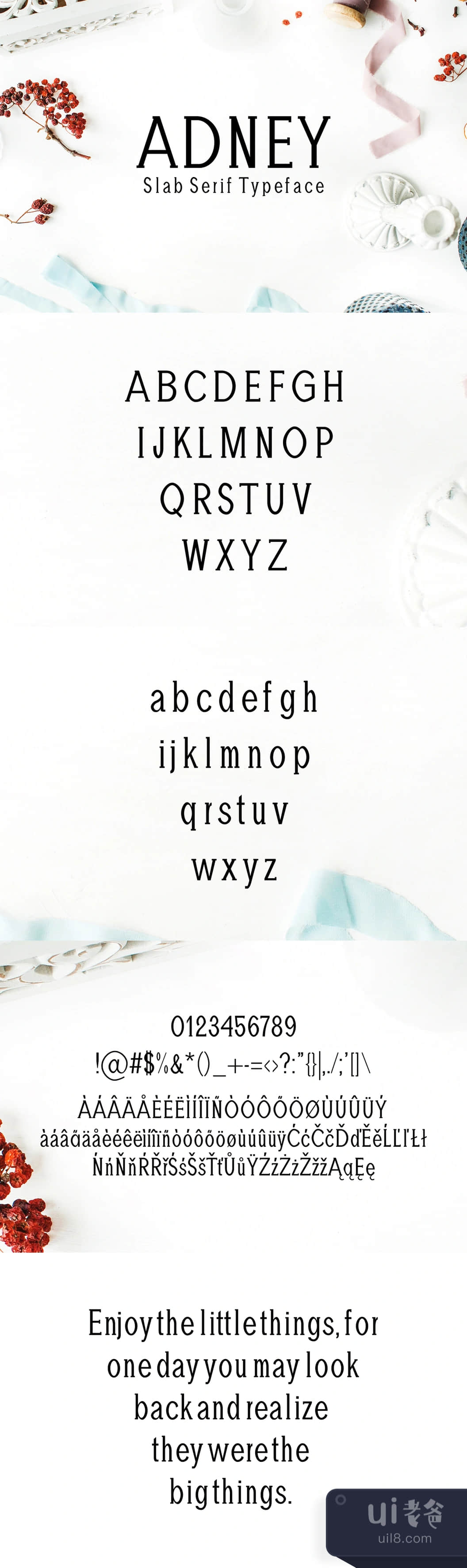 阿德尼板块式样的字体 (Adney Slab Serif Typeface)插图1