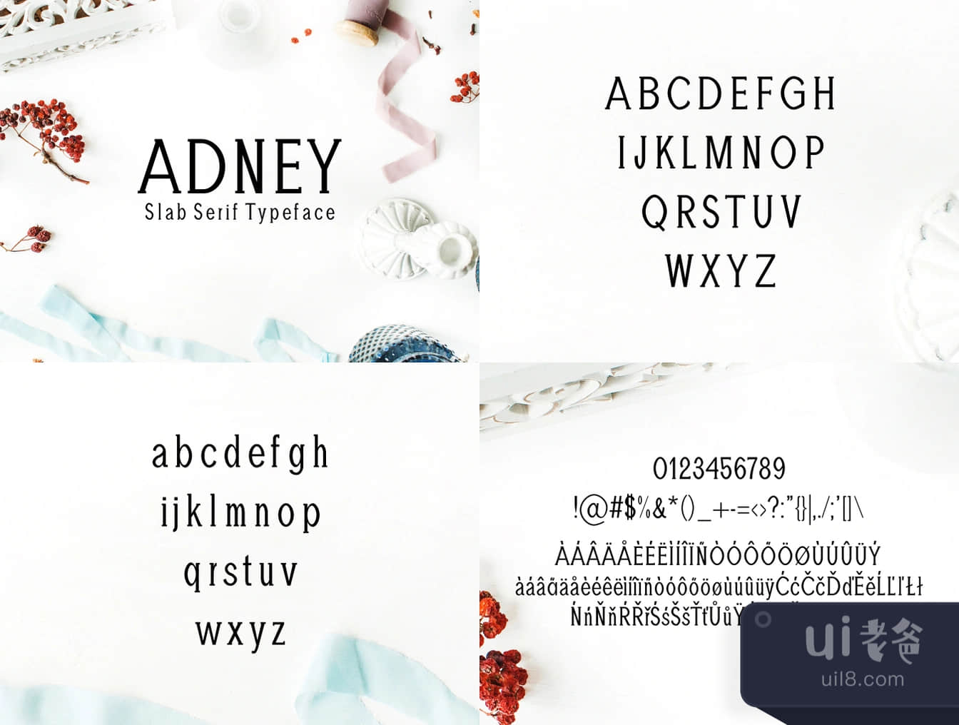 阿德尼板块式样的字体 (Adney Slab Serif Typeface)插图