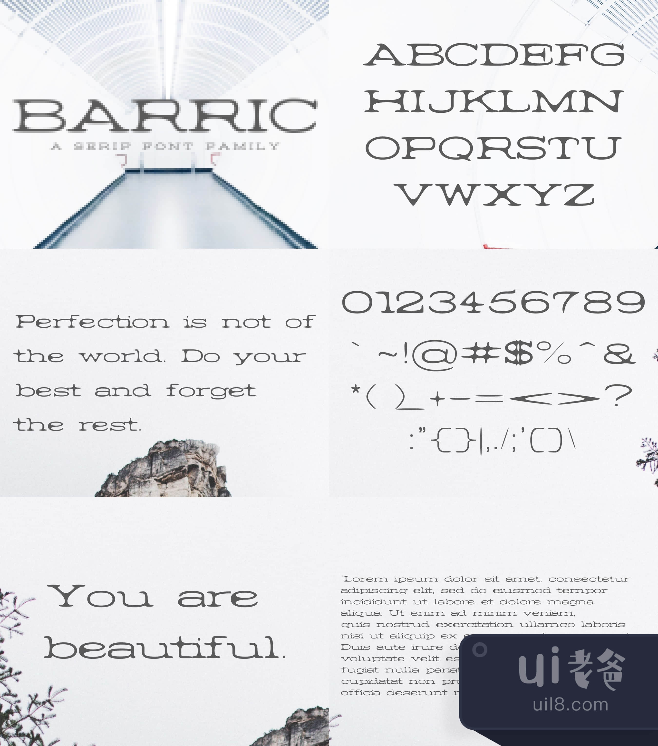 Barric A Serif字体家族 (Barric A Serif Font Family)插图