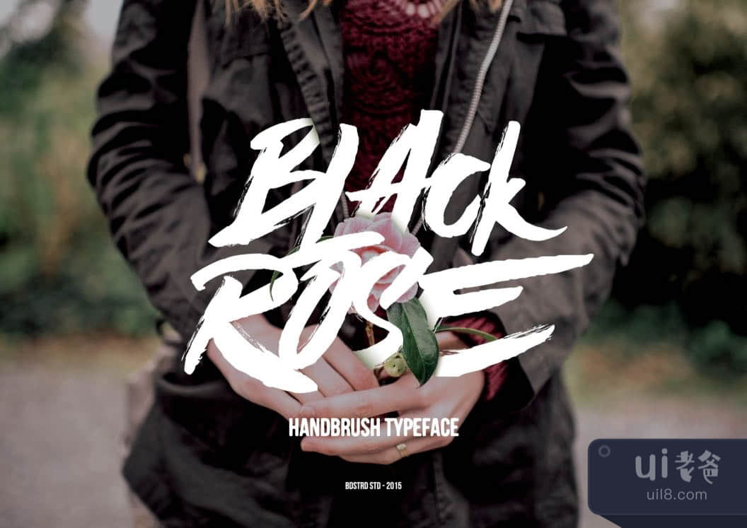 黑玫瑰 (Black Rose)插图