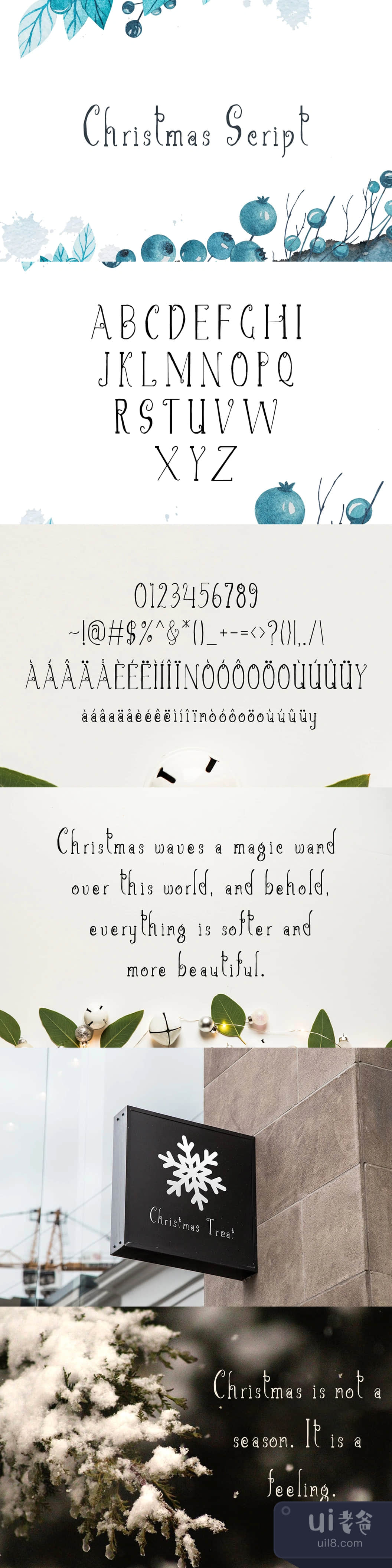 圣诞字体 (Christmas Script Font)插图1