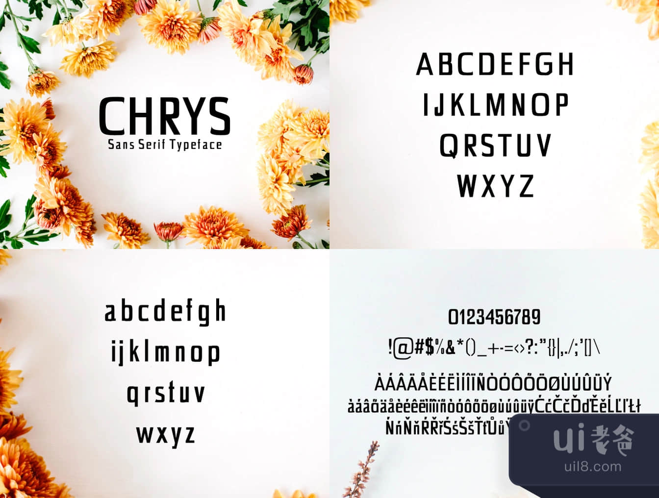 无衬线字体Chrys (Chrys Sans Serif Typeface)插图
