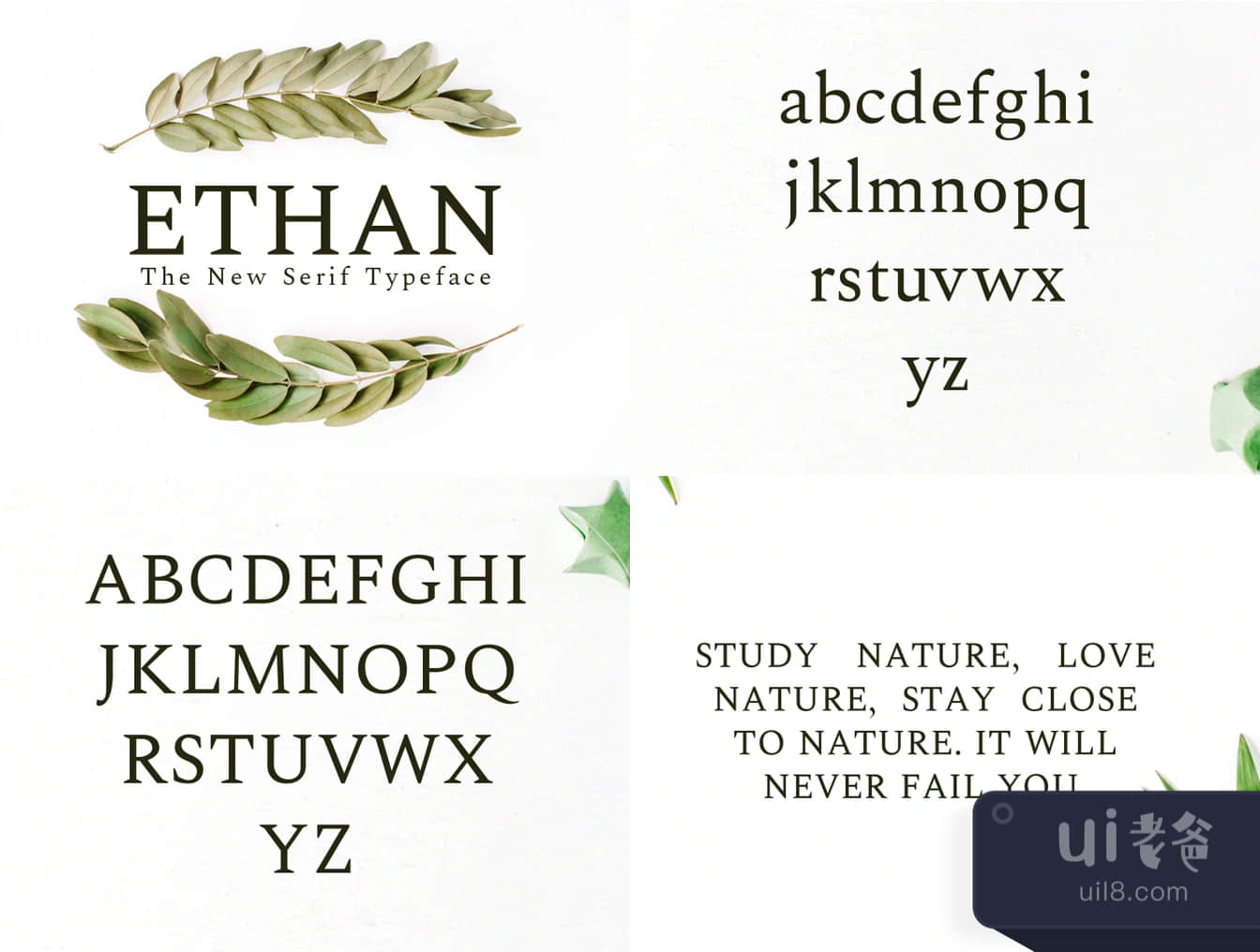 Ethan 新的Serif字体 (Ethan The New Serif Typeface)插图1