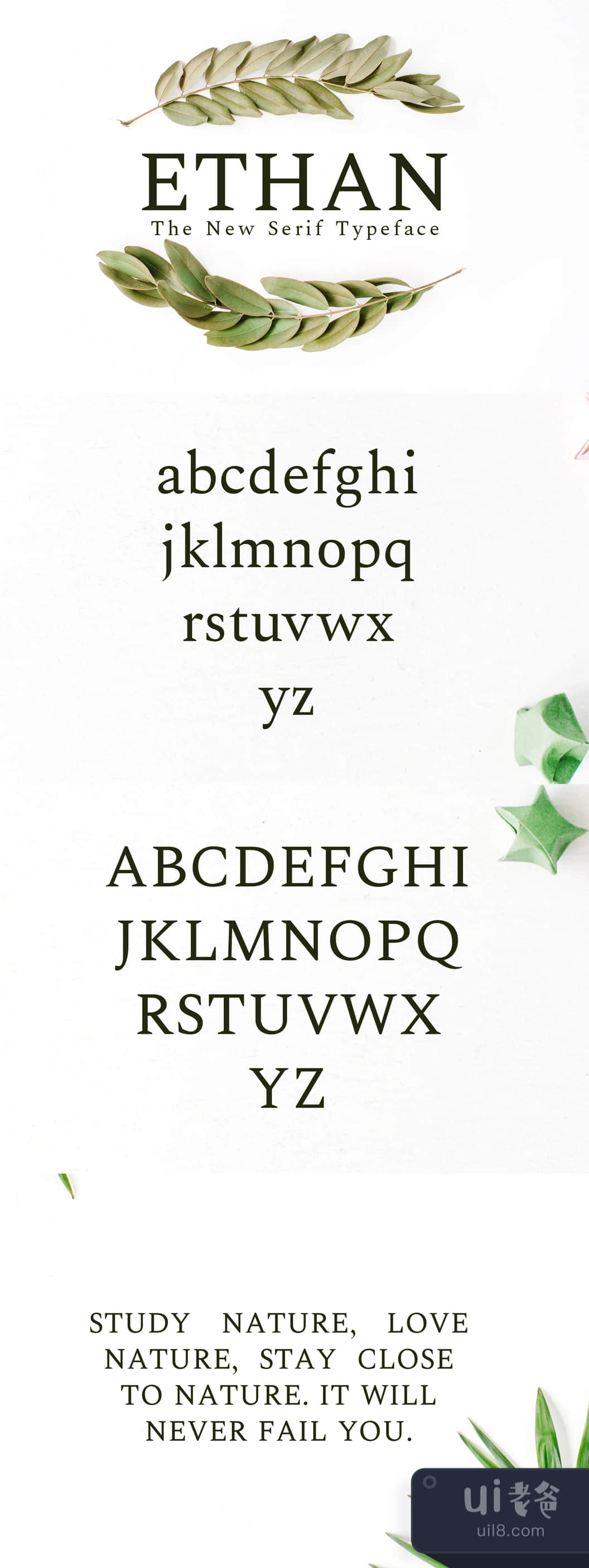 Ethan 新的Serif字体 (Ethan The New Serif Typeface)插图