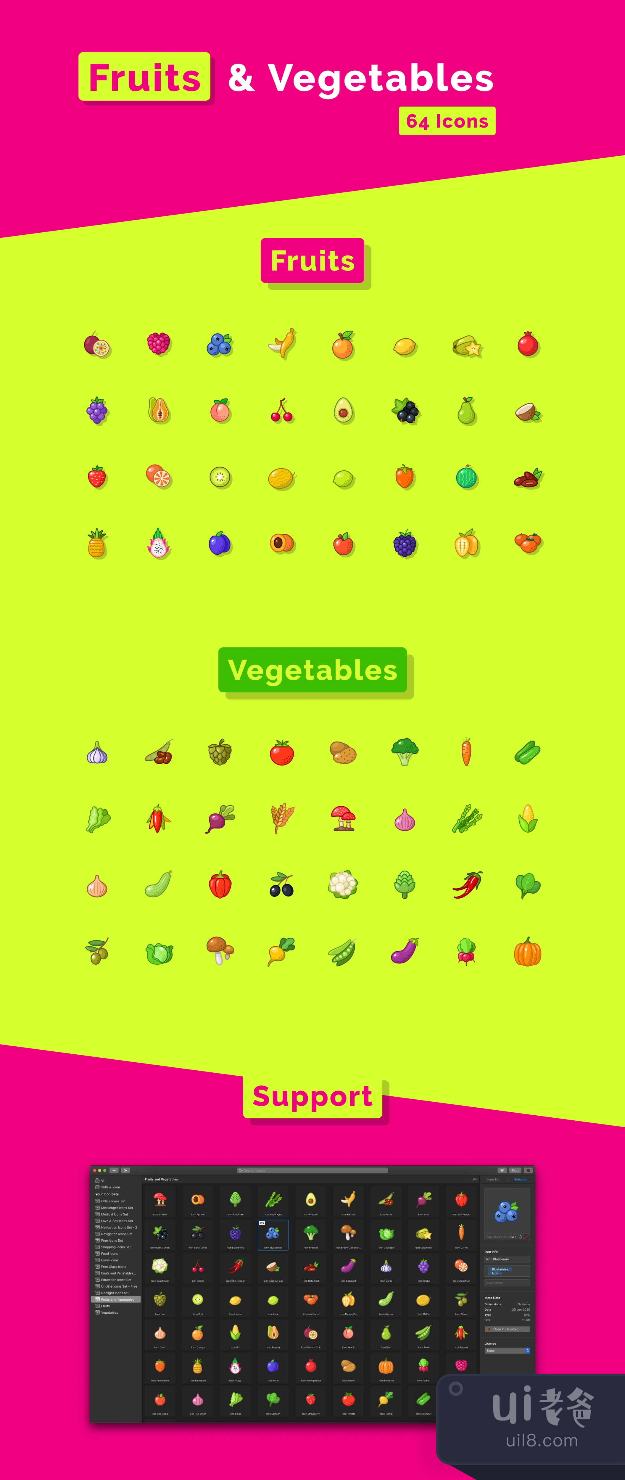 水果蔬菜图标集插图