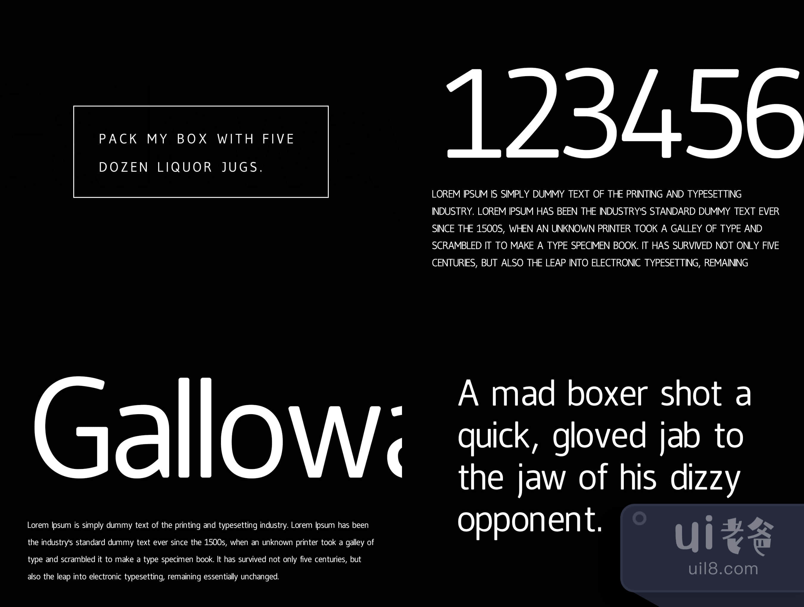 Galloway - 现代字体+WebFont (Galloway - Modern Typefac插图1