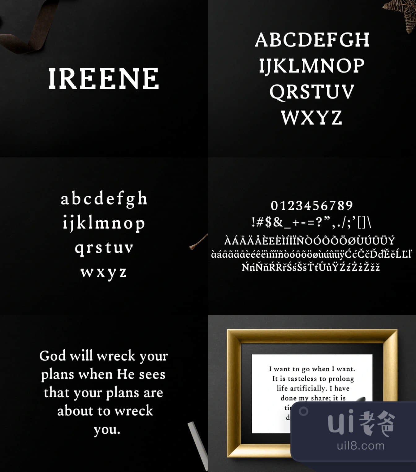 Ireene Serif字体家族 (Ireene Serif Font Family)插图1
