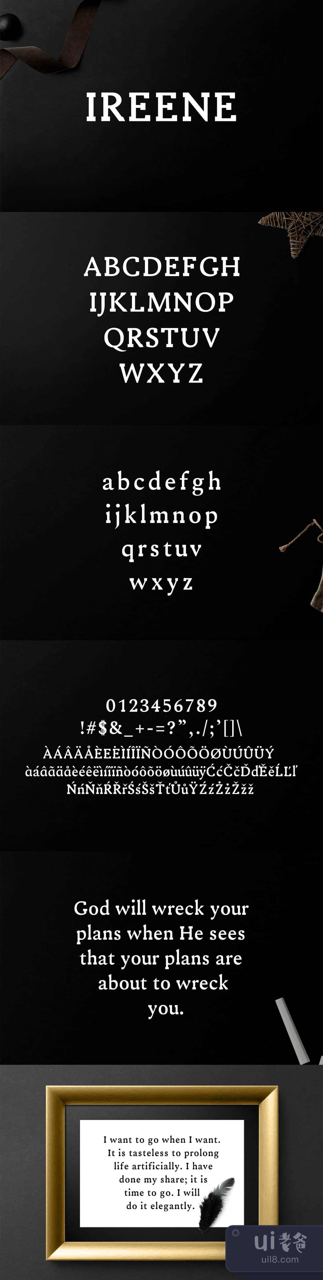 Ireene Serif字体家族 (Ireene Serif Font Family)插图