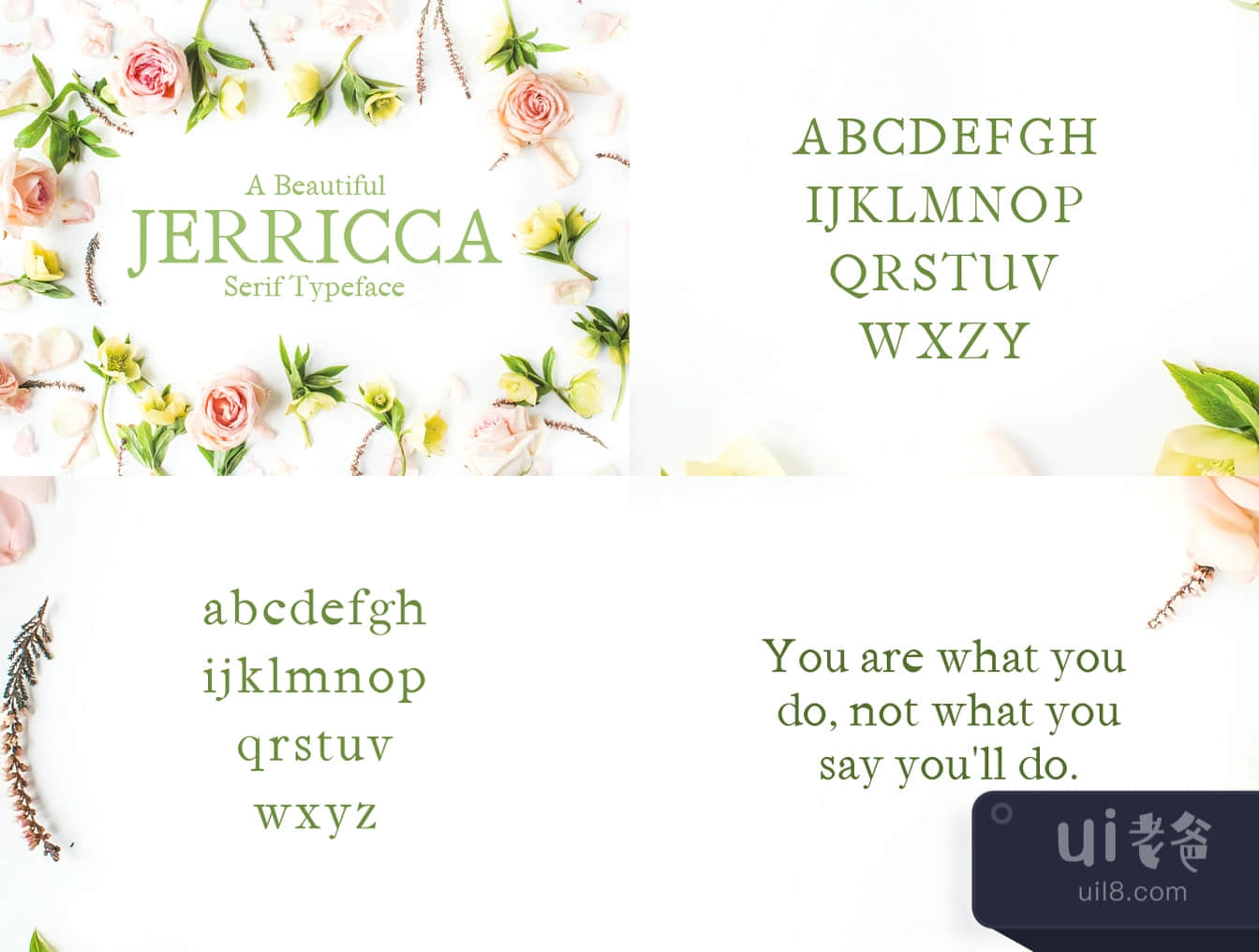 Jerricca Serif Typeface (Jerricca Serif Typeface)插图