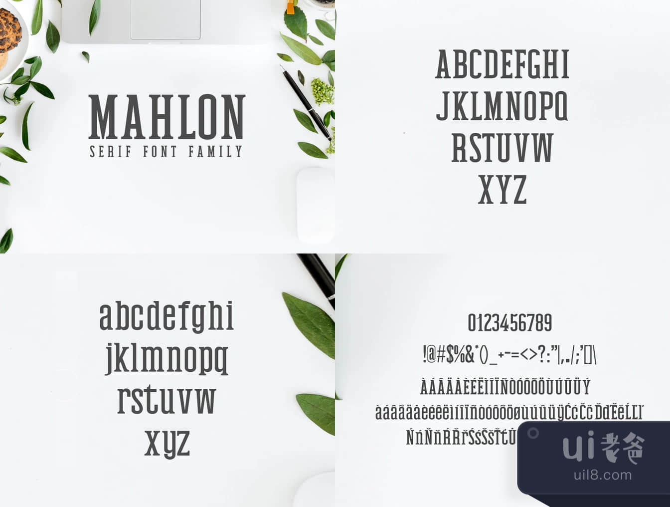 Mahlon Serif字体家族 (Mahlon Serif Font Family)插图