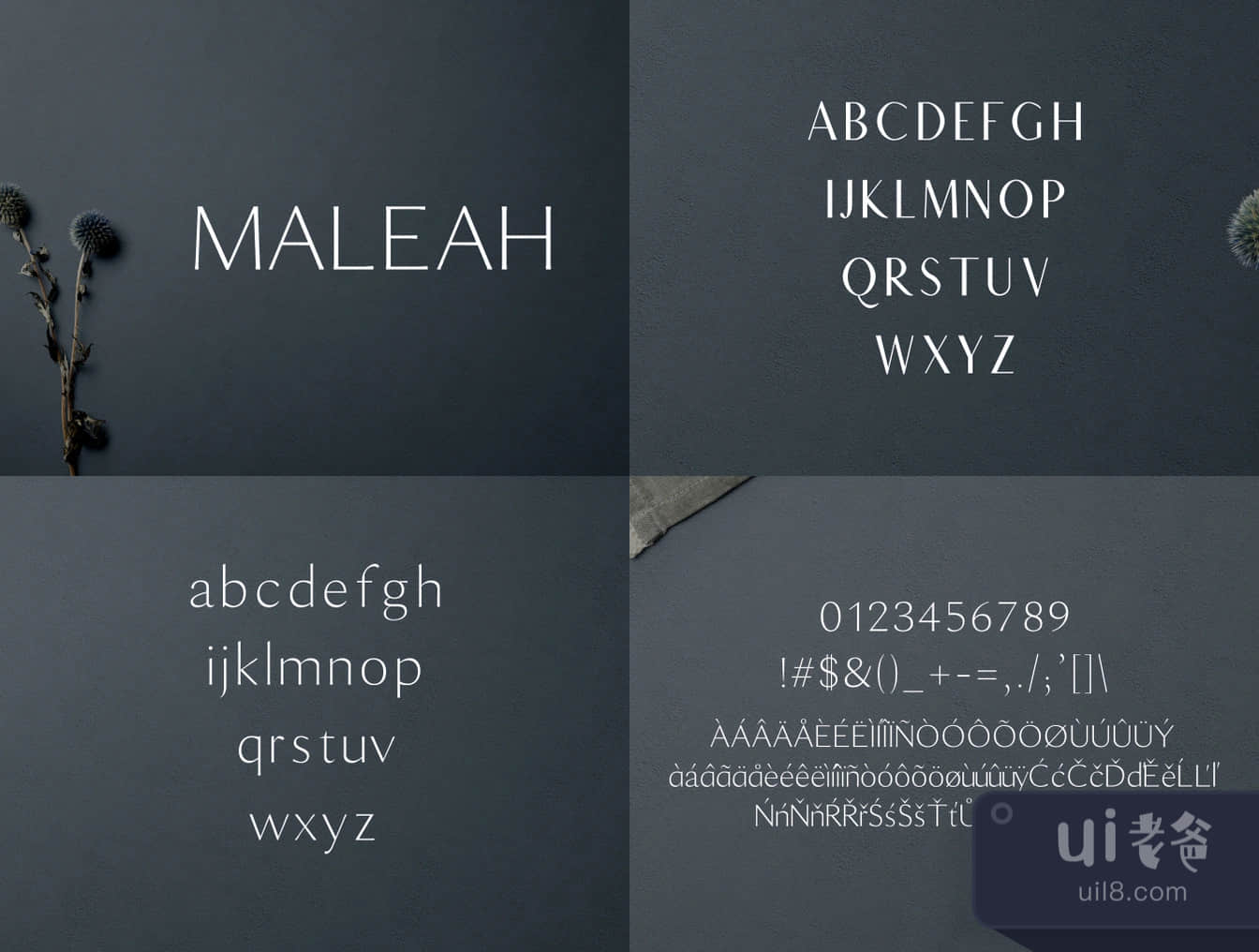 马利亚无衬线字体 (Maleah Sans Serif)插图