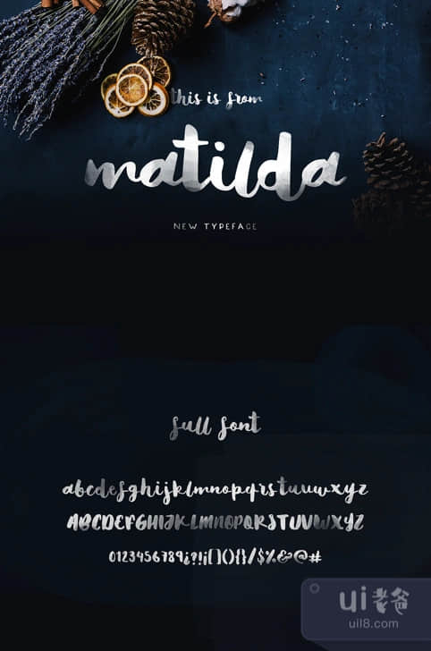明德 (Matilda)插图1