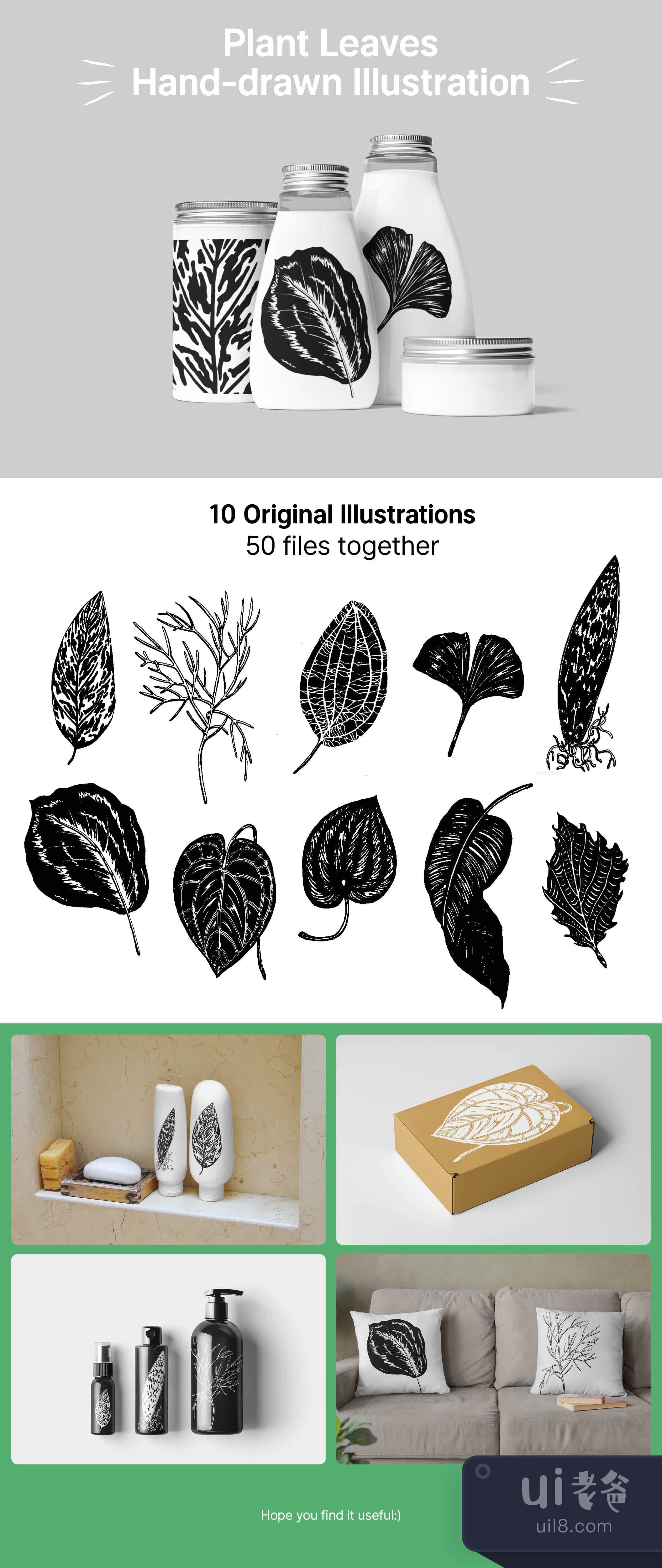 植物叶子插图 (Plant Leaves Illustrations)插图1