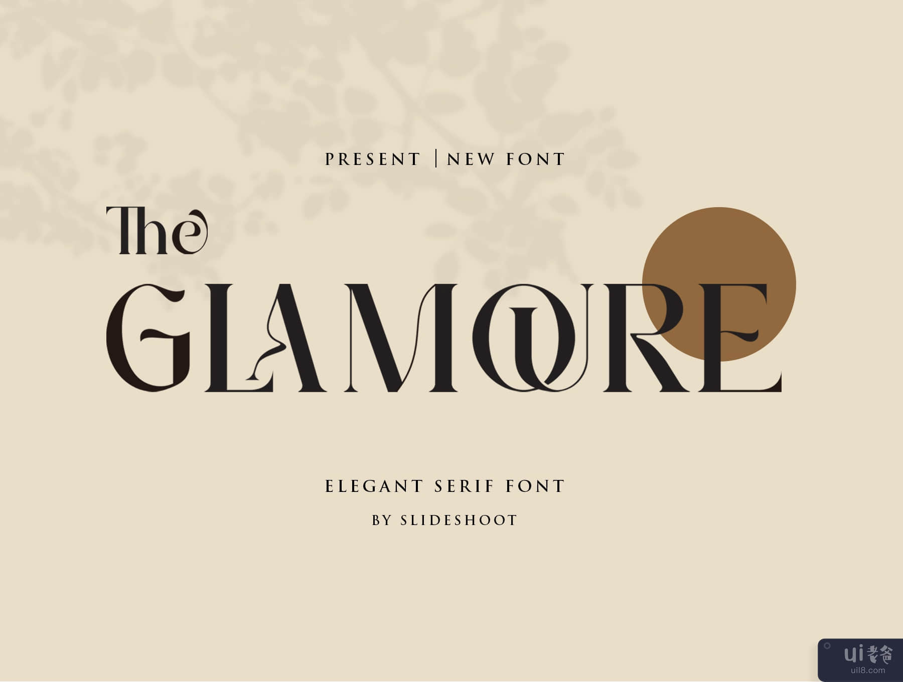 迷人的衬线字体 (The Glamoure Serif)插图11